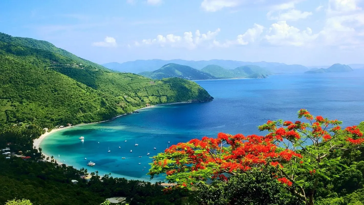 高效科技智能
